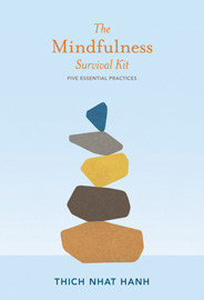 mindfullness_book gift ideas for meetings