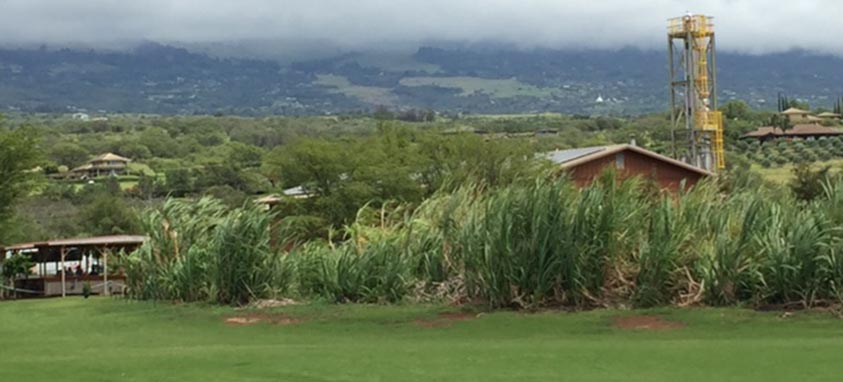 Maui and Kauai