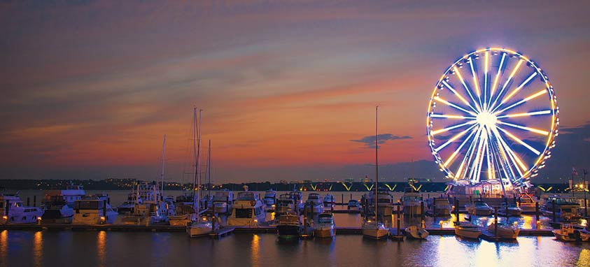 wheel-marina-at-night