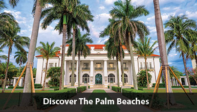 palm-beaches