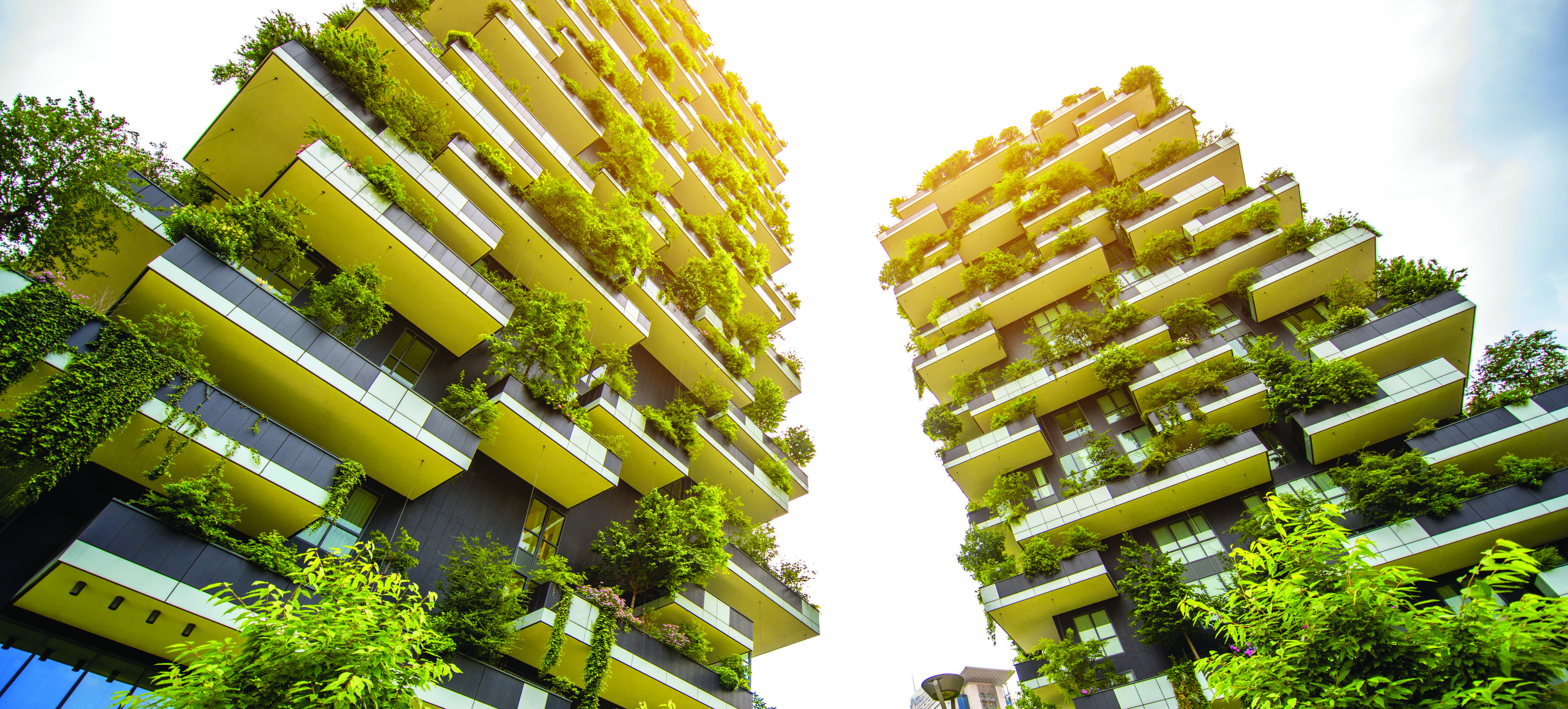 vertical forests