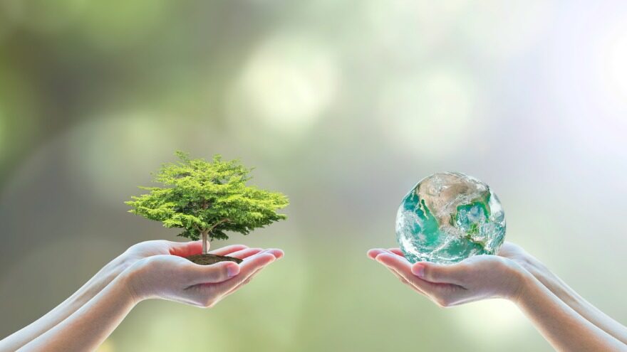 healthier world