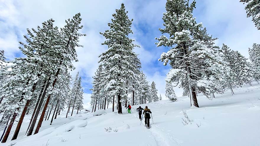 Several people following a guide in a snowshoe hike up a mountain at Hyatt Regency Lake Tahoe