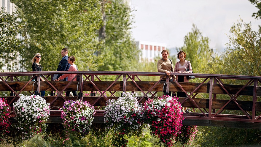 People on top of a wooden bridge surrounded by trees and flowers
