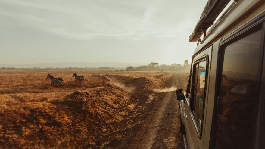 A picture from a safari jeep looking at the savannah