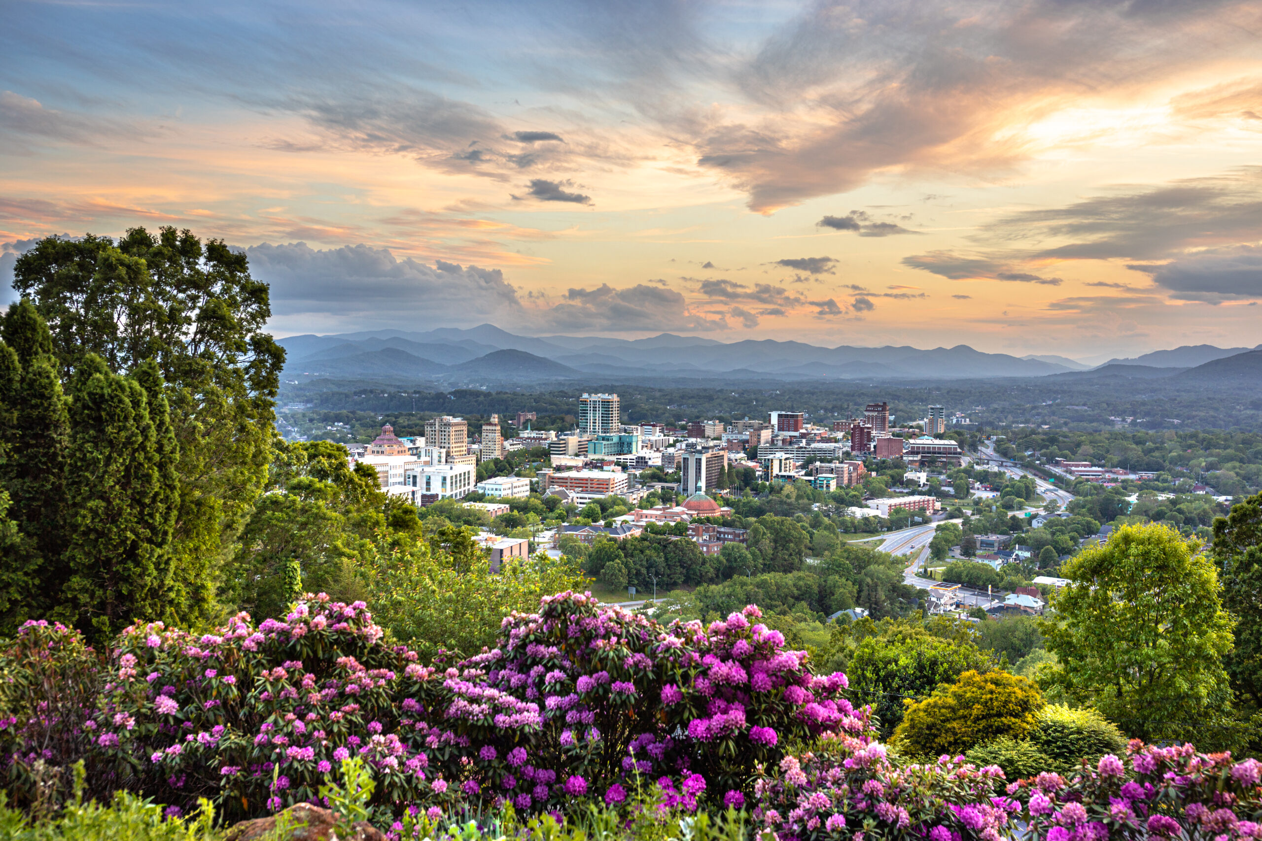 The city of Asheville from a distance, with flowers and trees in the foreground.