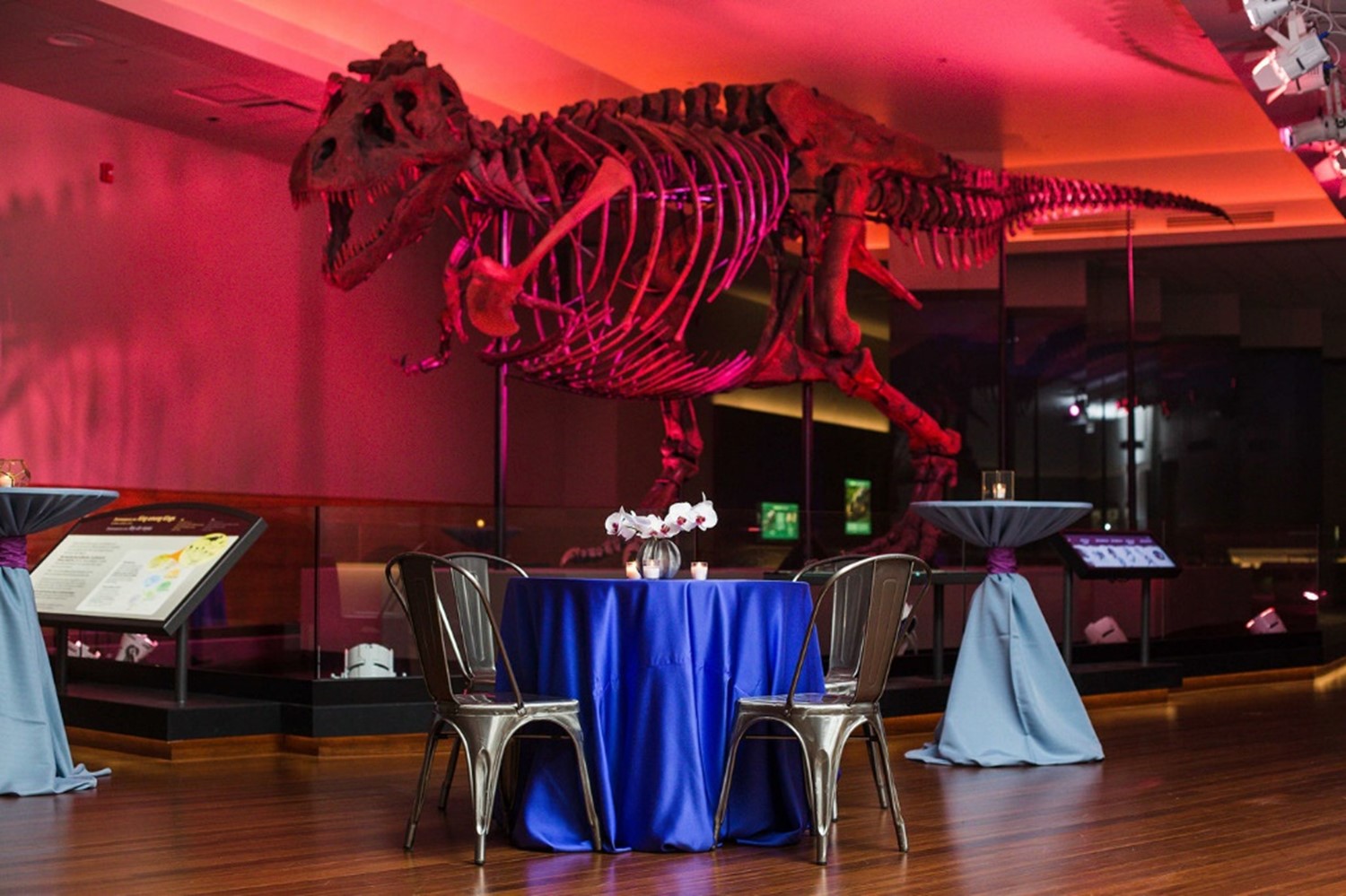 SUE the T-Rex at Chicago’s Field Museum with a round table set up in front of her.
