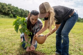 Image of people planting a small tree.