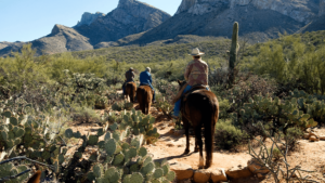 three horseback riders in saguaro desert