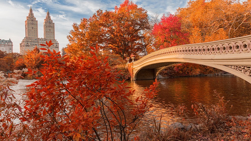 Bow Bridge in Central Park at Autumn