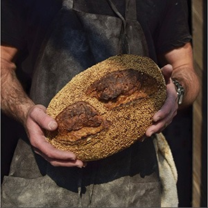 a man's hands holding The Grain Shed’s sproutedrye and toasted sesame loaf