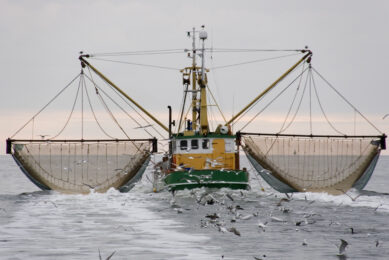 boat using nets to catch fish