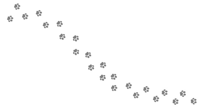 animated dog paw prints on white background