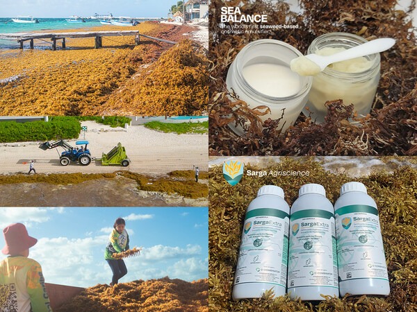 Carbonwave upcycles the Sargassum seaweed bloom inundating Mexico’s Caribbean coast into a range of valuable biomaterials, including an organic fertilizer and a cosmetic emulsifier