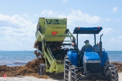 heavy machinery removing sargassum at beach