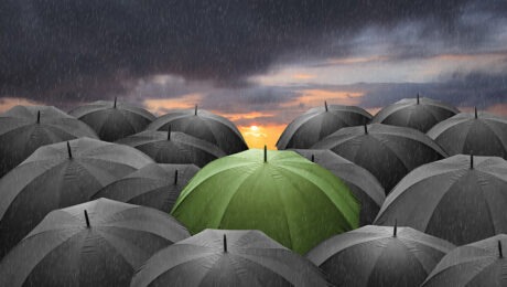 image of tops of umbrellas, one green one surrounded by many black ones