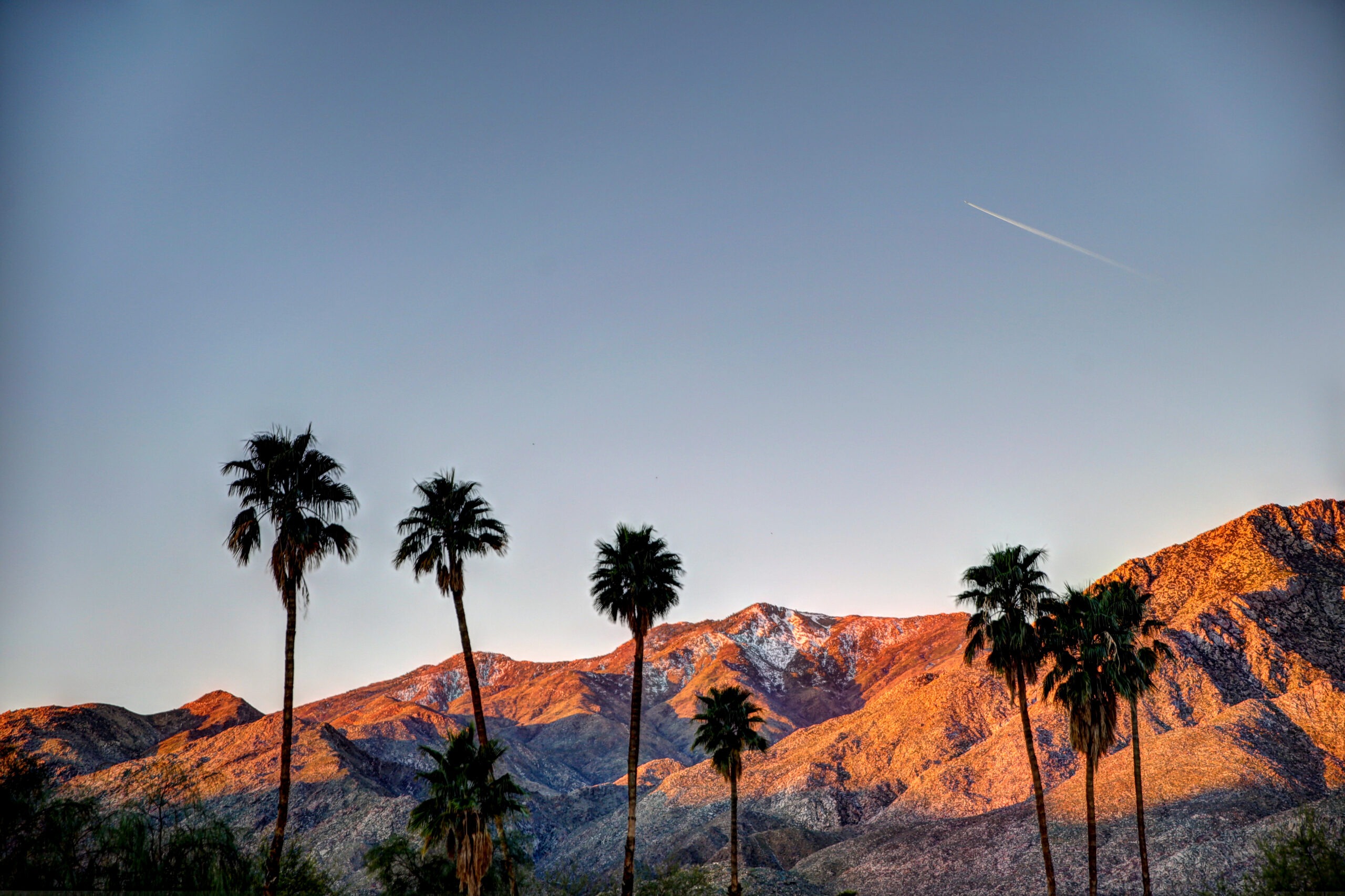 mountains in background and palm trees in foreground